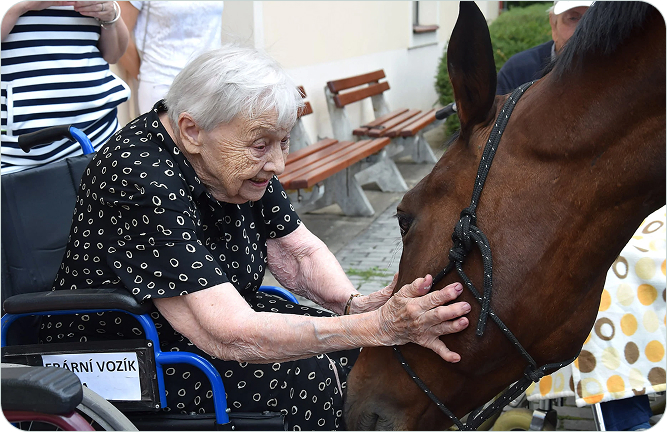 Seniorka s koněm