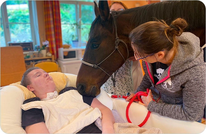 Terapeutic horse with patient